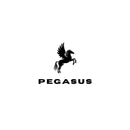Velame Pegasus