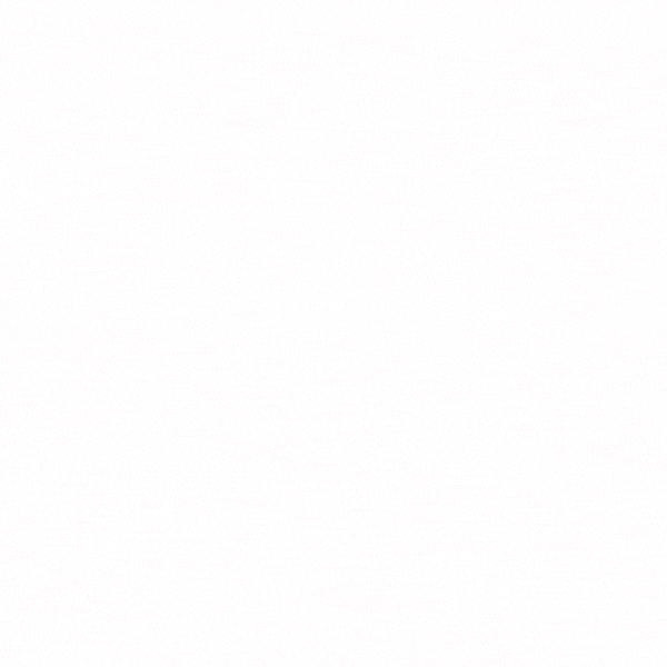 Vela Sailfish Athena 2,56m²