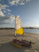 Vela Sailfish Nereus 5,10m²