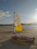 Vela Sailfish Nereus 5,10m²