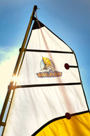 Vela Sailfish Athena 2,56m²